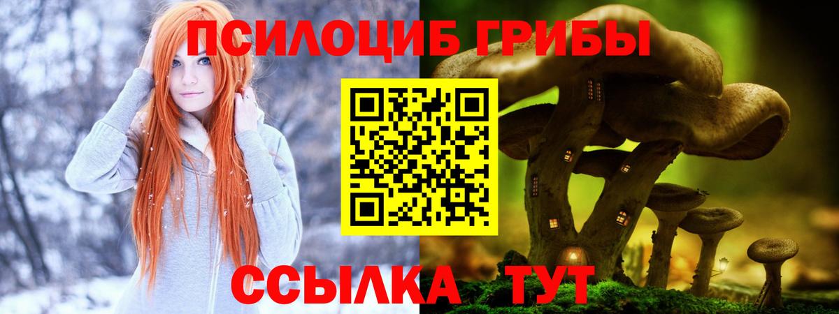 Псилоцибиновые грибы мухоморы Магадан